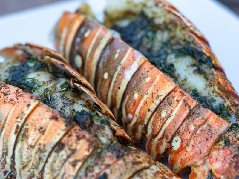 Grilled Lobster