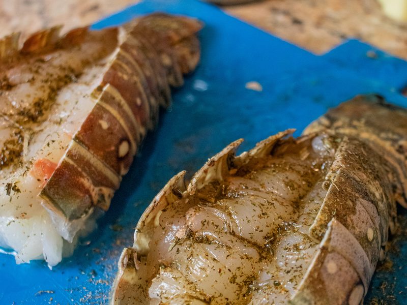 Grilled Lobster