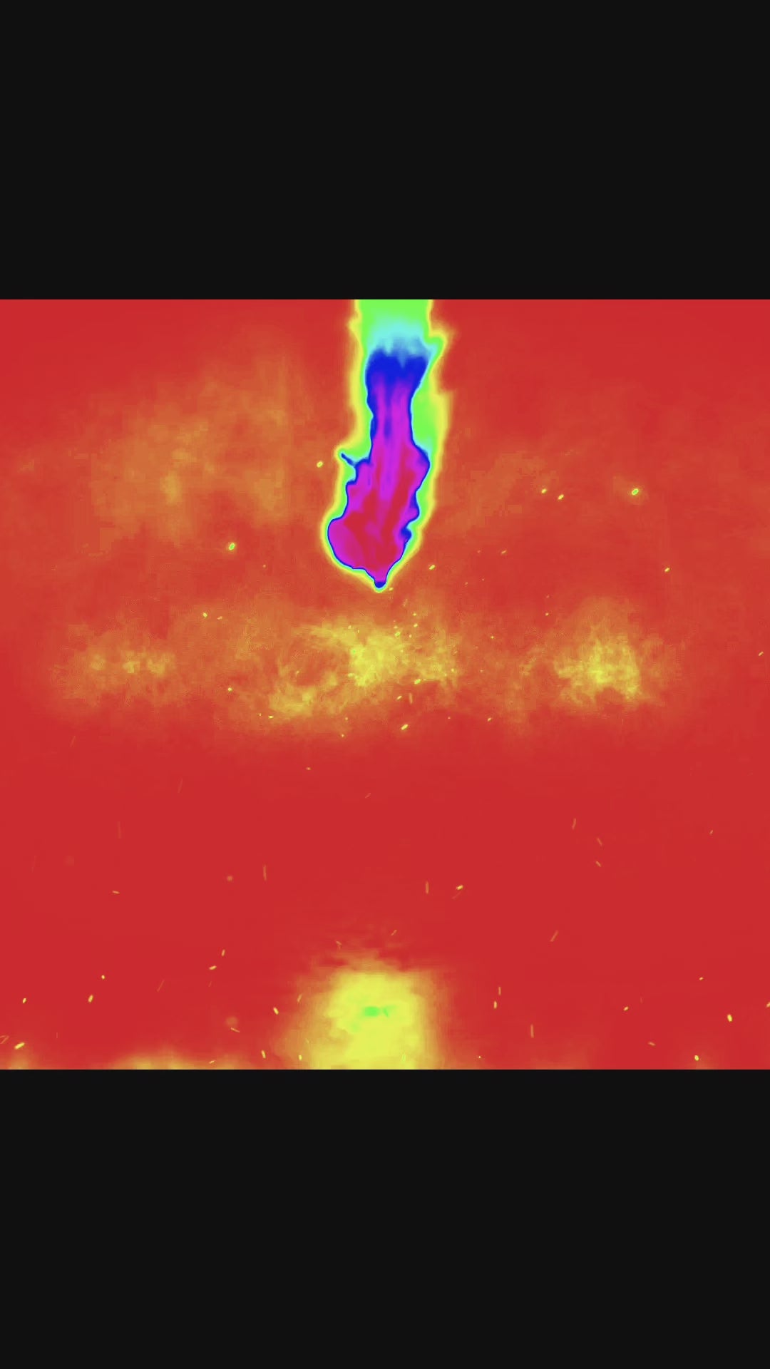 Casa M Spice Co® Whole Hog®